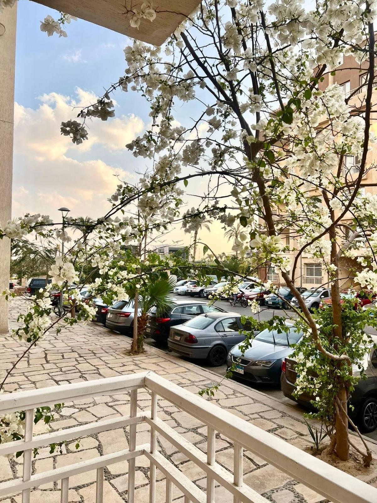 Apartment Diamond New Cairo *