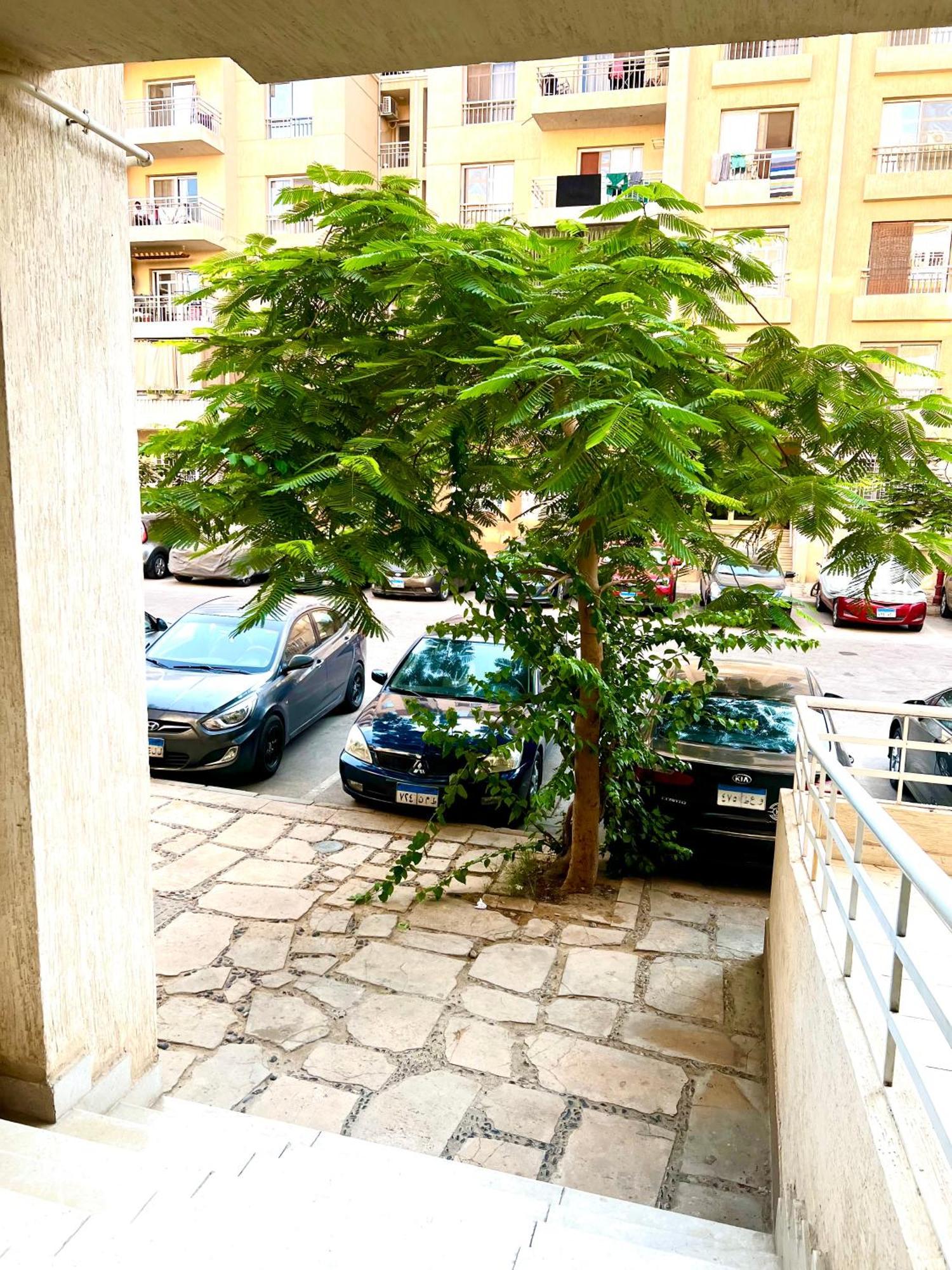 Apartman Diamond New Cairo